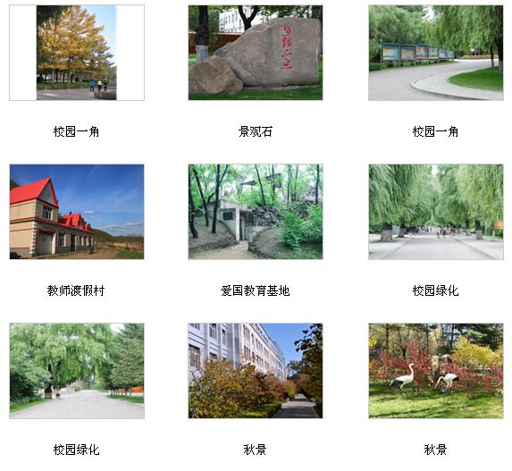 黑龙江林业职业技术学院 校园图片简介