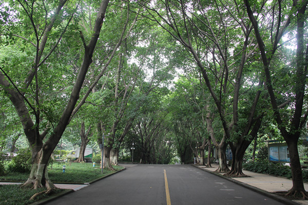 重庆知行卫生学校沙坪坝校区