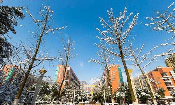 重庆南川隆化职业中学校校园雪景（3）